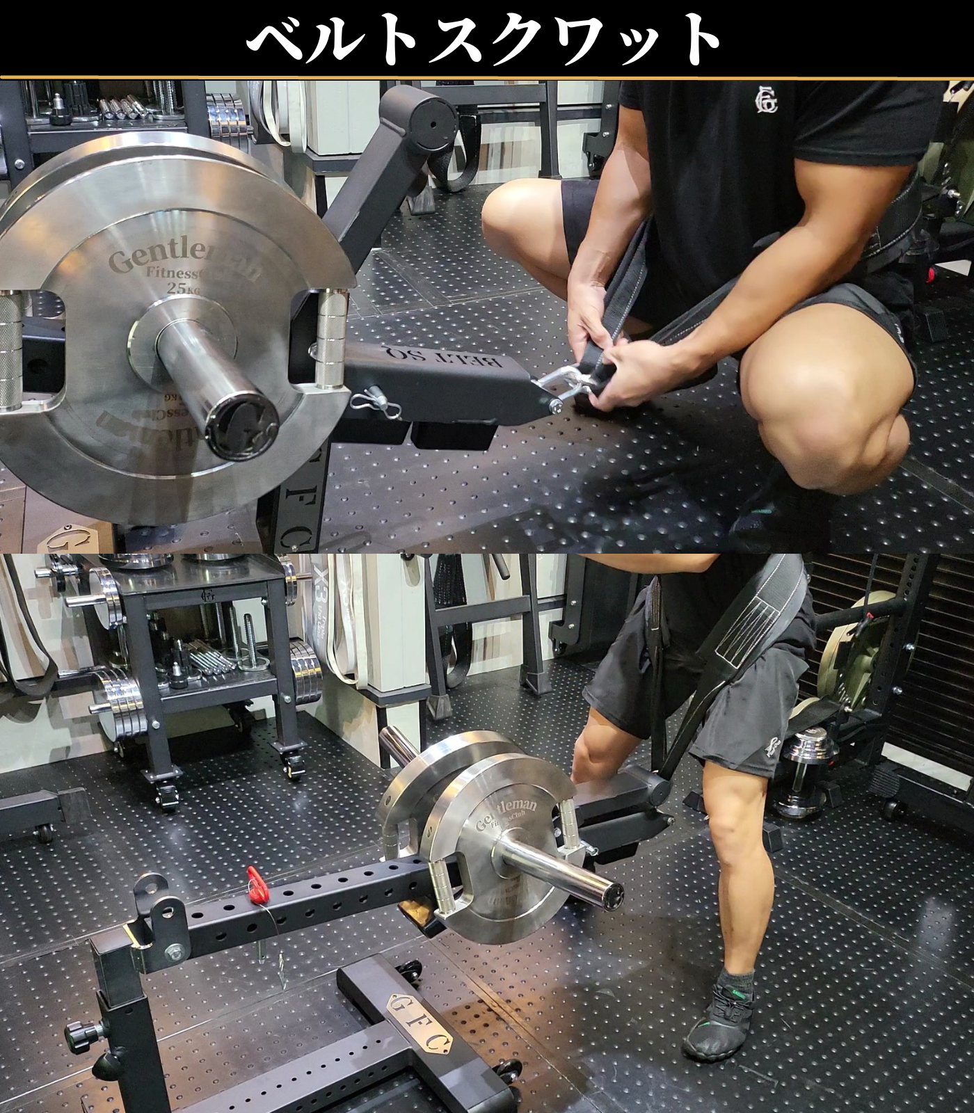 GFCベルトスクワットさのさん GFCベルトスクワットさのさん Amazon.co GFCベルトスクワットさのさん GFCベルトスクワットさのさん Amazon.co