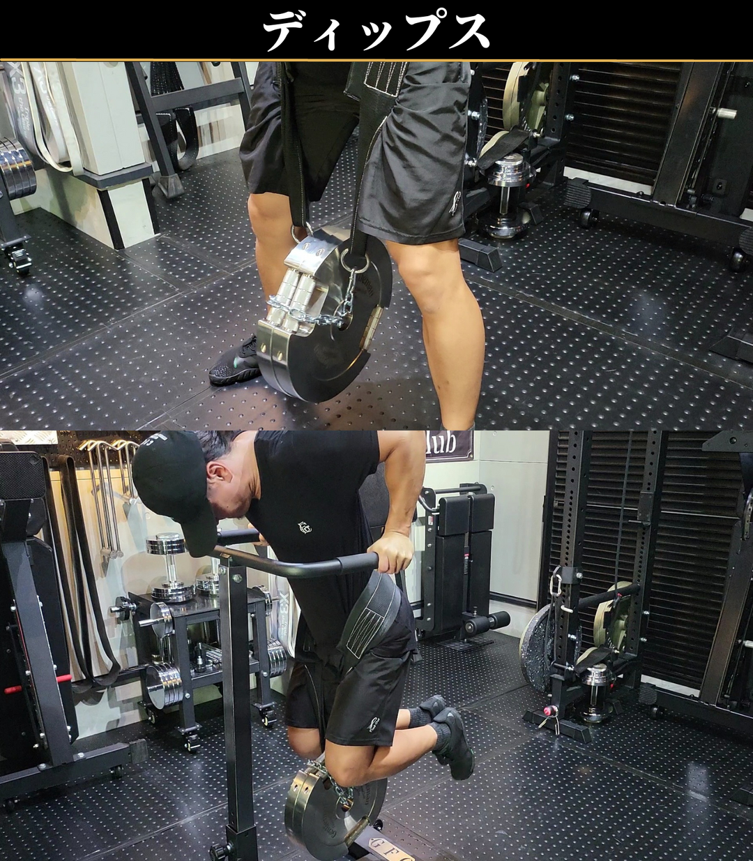 GFCベルトスクワットさのさん GFCベルトスクワットさのさん Amazon.co.jp GFCベルトスクワットさのさん GFCベルトスクワットさのさん Amazon.co.jp