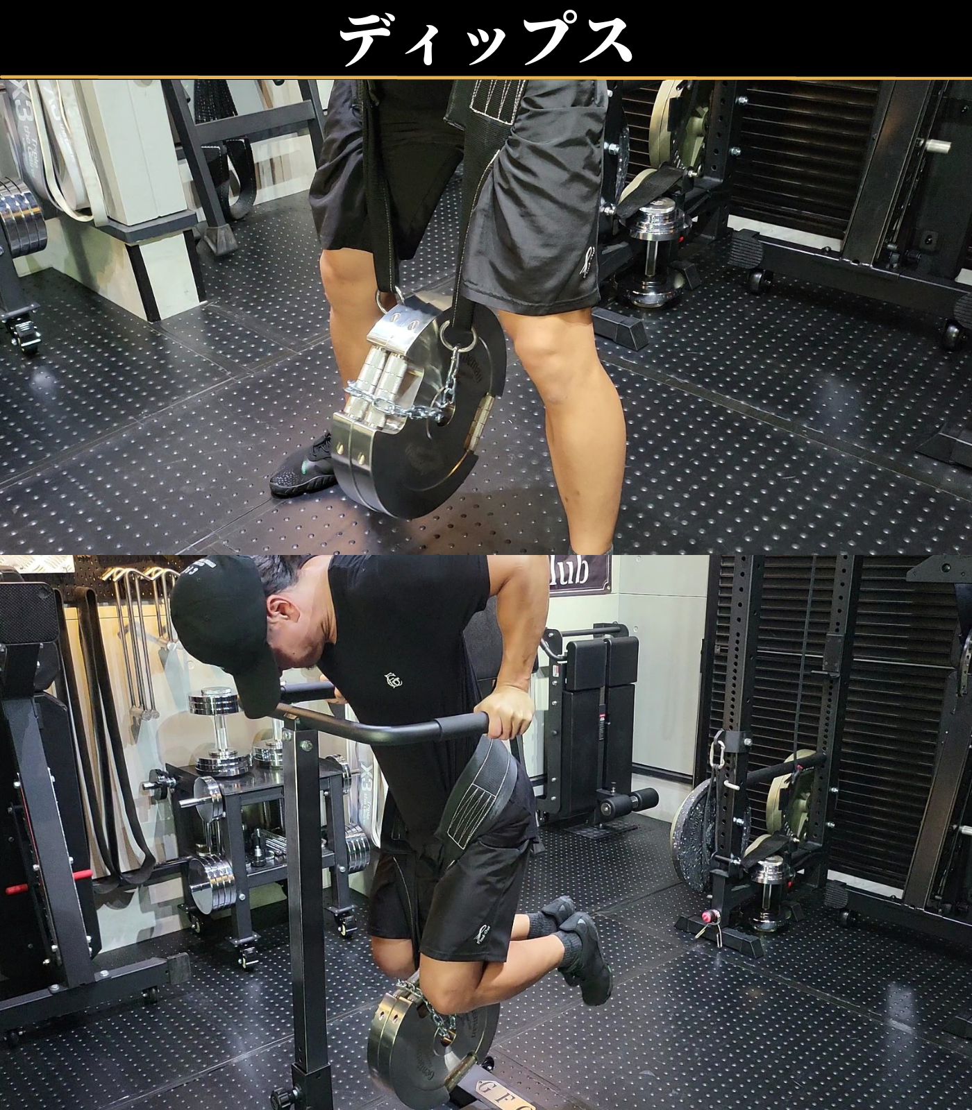 ベルトスクワット / ディップスベルト – GentlemanFitnessClub ベルトスクワット / ディップスベルト – GentlemanFitnessClub